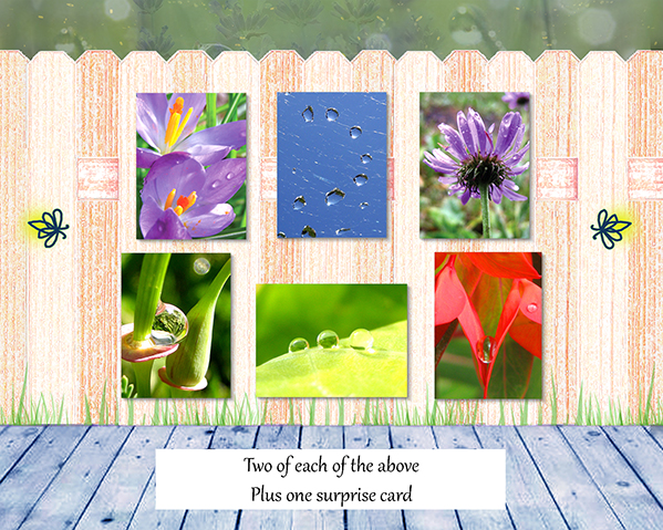 In the Meadow Greeting Card Collection by The Poetry of Nature - front and back of box